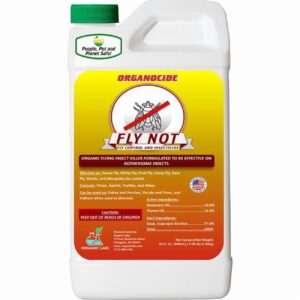 OL FLY NOT INSECTICIDE QT CONC