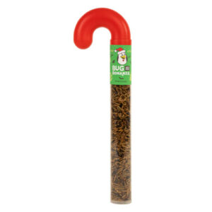 HH BUG BONANZA CANDY CANE 4OZ