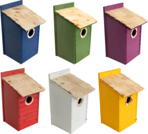 LAKE CABIN BLUEBIRD HOUSE ASST