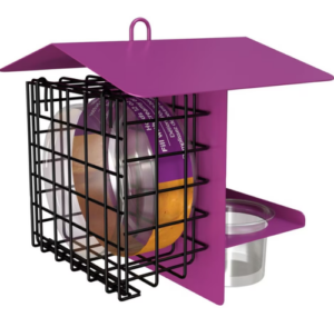 PEANUT BUTTER & JELLY FEEDER BIR