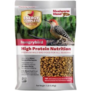 HB ENERGY COMP BITES MEALWORM 3#