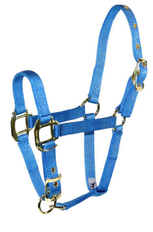 HALTER HAMILTON NYLON FOAL