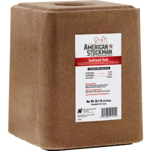 TRACE MINERAL SALT BRICK