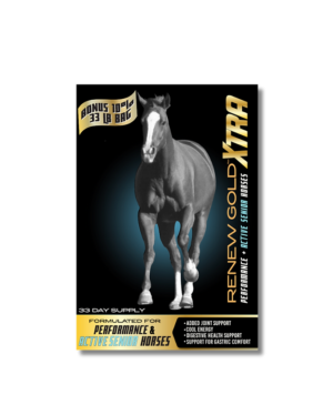 RENEW GOLD XTRA ACTIVE SEN 33#