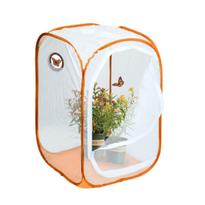 MONARCH BUTTERFLY POP UP INCUBAT