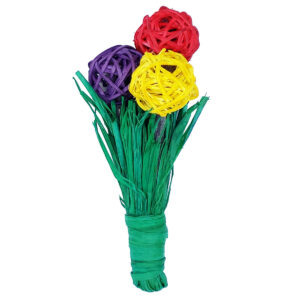 NIBBLES CHEWY BLOOMS TOY