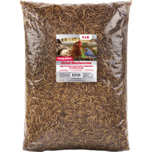 HUNGRYBIRD DRIED MEALWORMS 5LB
