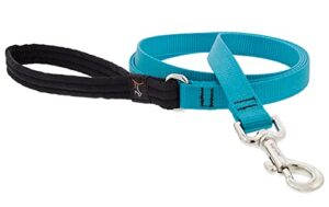 3/4in Aqua 4ft Leash