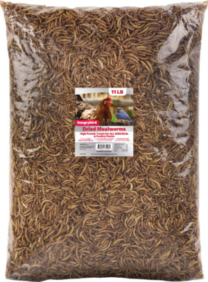 HUNGRYBIRD DRIED MEAL WORMS  30Z