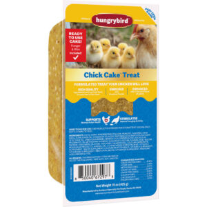HUNGRYBIRD CHICK CAKE