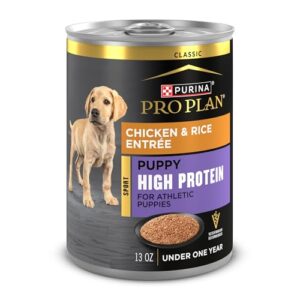 PP HI PRTN CKN/RC PUPPY 13OZ