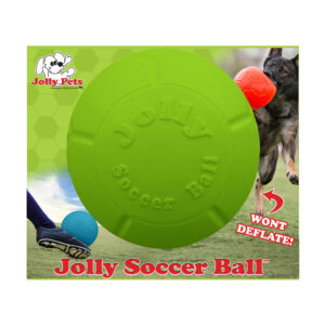 JOLLY SOCCER BALL GREEN APPLE 8"