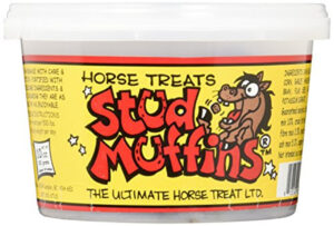 STUD MUFFIN TUB 10 OZ