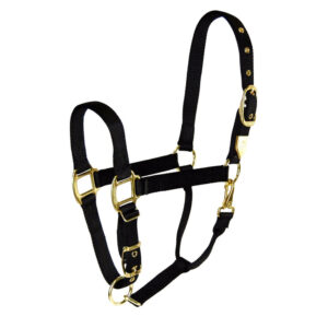HALTER HAMILTON NYLON YEARLING