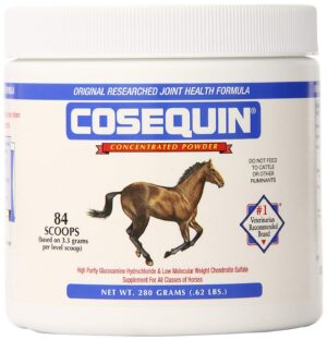 COSEQUIN EQUINE POWDER