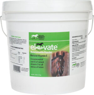ELEVATE POWDER