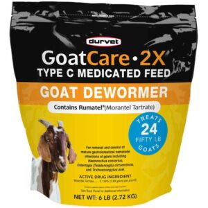 GOAT CARE 2X DEWORMER