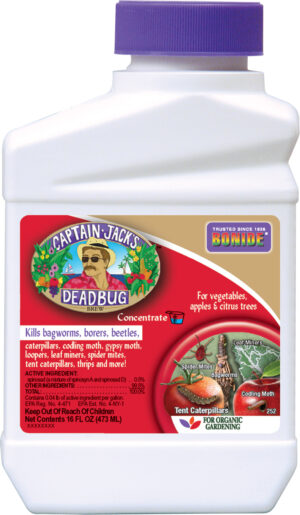 DEADBUG BREW CONC