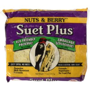 SUET PLUS NUTS & BERRY 11 OZ