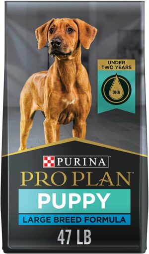 PP CKN & RICE LG BRD PUP 47LB