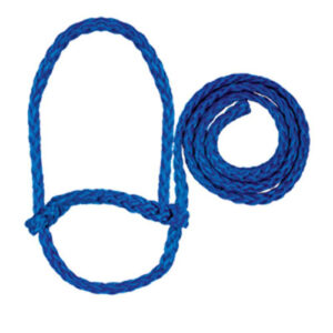 WVR SHEEP HALTER POLY BLUE