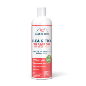 WC F/T PEPPRMNT SHAMPOO 12OZ