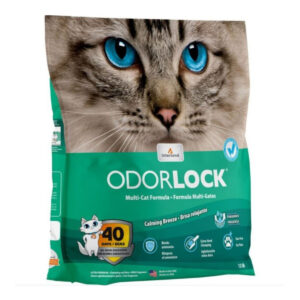 INTERSAND ODORLOCK LITTER 25LB