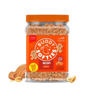 BUDDY BISC SOFT CHEW PB 20OZ JAR