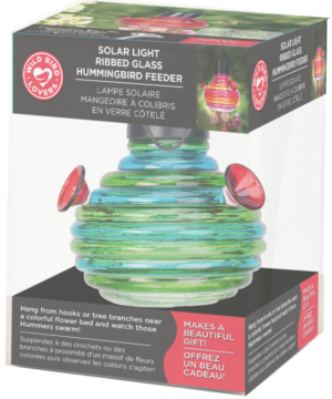 WBL SOLAR LIGHT HUMM FDR GLASS