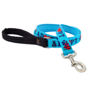 1IN ADOPT 6FT LEASH