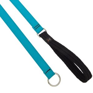 1in Aqua 6ft Slip Leash